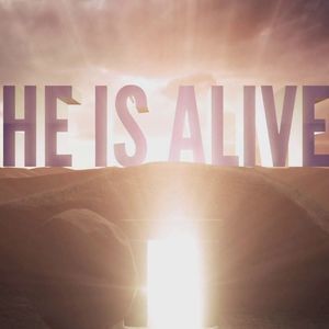 Meet your Posher, Abbey